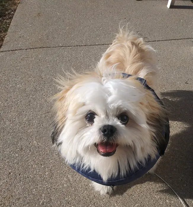 Humboldt Veterinary Clinic, P.C. Picture 9