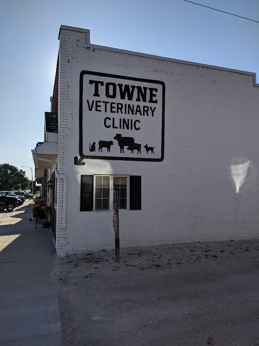 Town Veterinary Clinic Picture 4