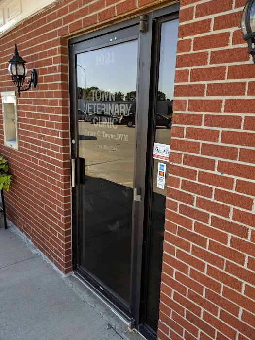 Town Veterinary Clinic Picture 2