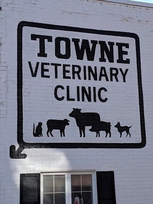 Town Veterinary Clinic Picture 1
