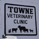 Town Veterinary Clinic