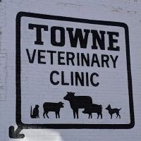 Town Veterinary Clinic ico