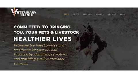 Manson Veterinary Clinic Picture 5