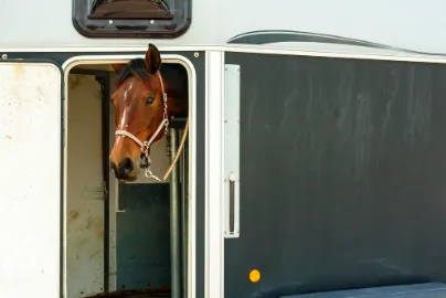 Manson Veterinary Clinic Picture 8