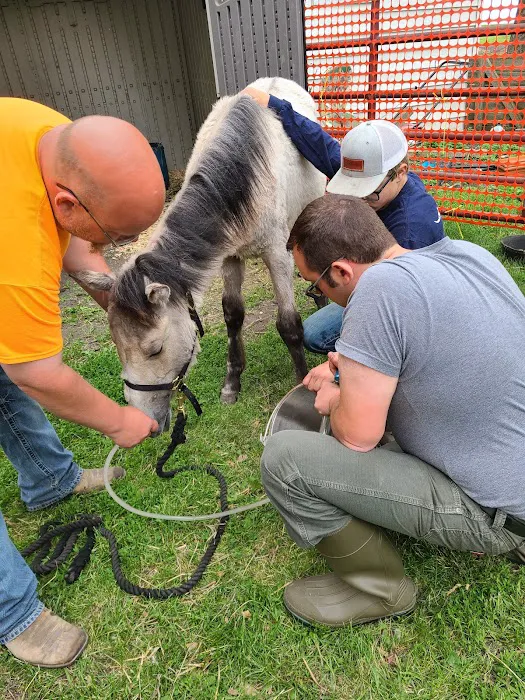 Swiss Farm Veterinary Picture 1