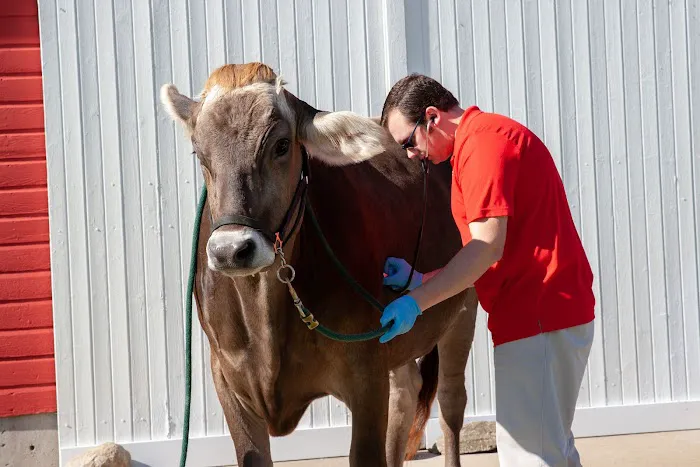 Swiss Farm Veterinary Picture 3