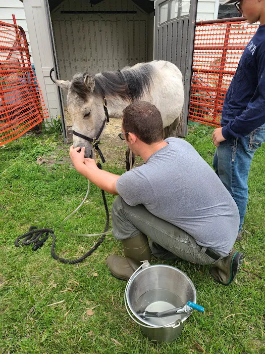 Swiss Farm Veterinary Picture 4