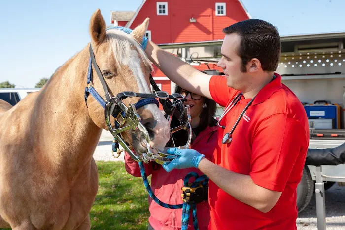 Swiss Farm Veterinary Picture 9