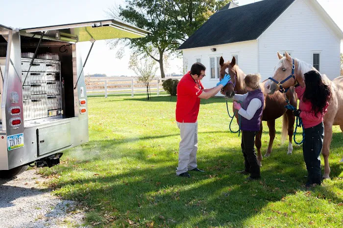 Swiss Farm Veterinary Picture 8
