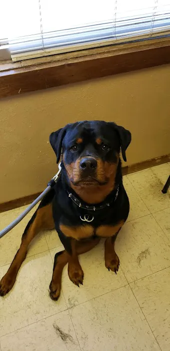 Helping Hands Veterinary Clinc Picture 1