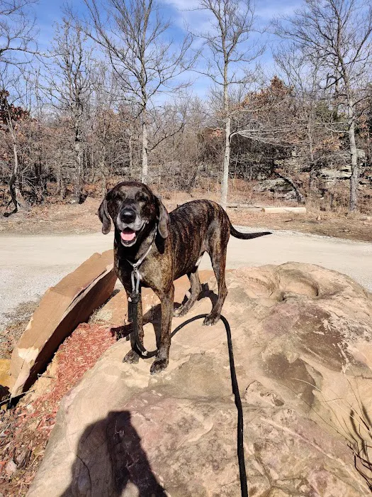 Boone Veterinary Hospital Picture 6