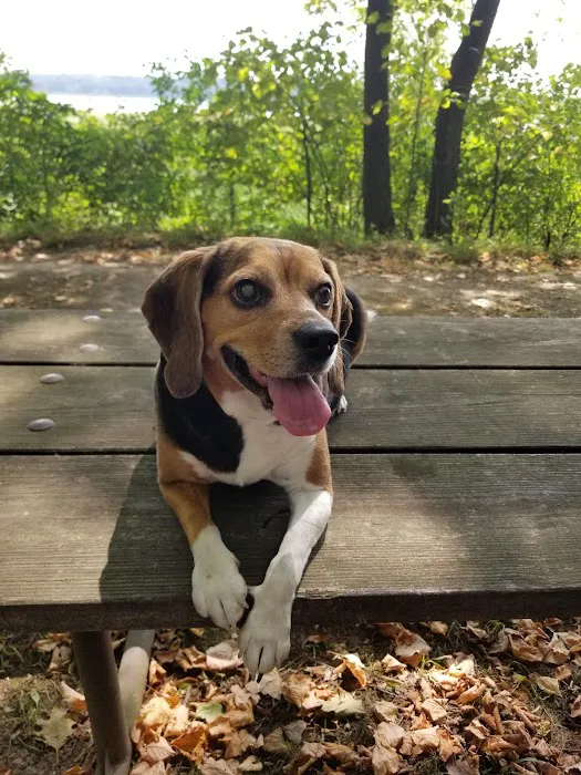 Boone Veterinary Hospital Picture 5