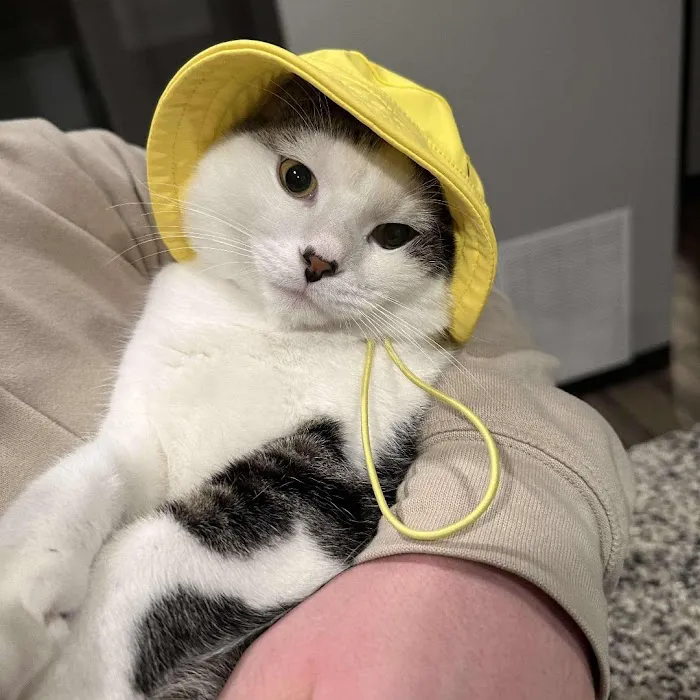 Boone Veterinary Hospital Picture 9