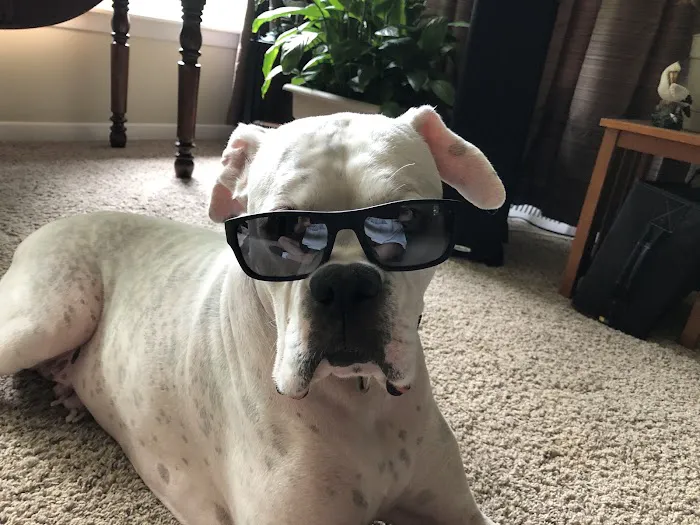 Polk City Veterinary Hospital Picture 1