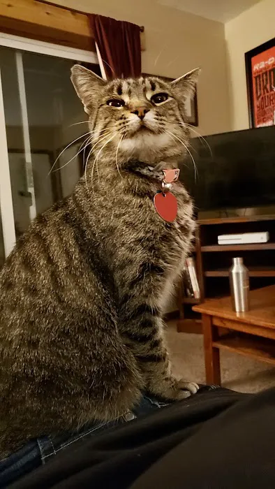 Polk City Veterinary Hospital Picture 5