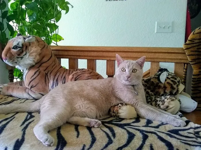 Polk City Veterinary Hospital Picture 3