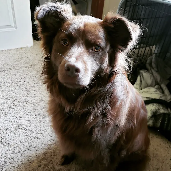 Polk City Veterinary Hospital Picture 7