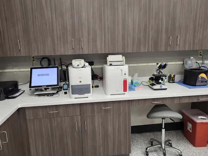 All Seasons Veterinary Care Picture 3