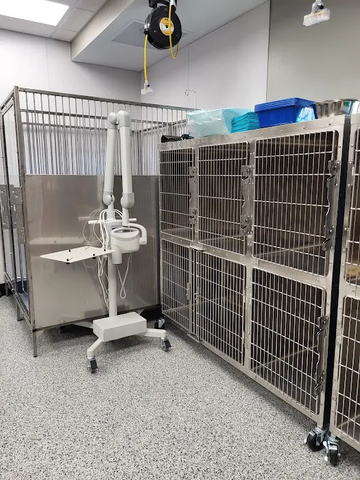 All Seasons Veterinary Care Picture 9