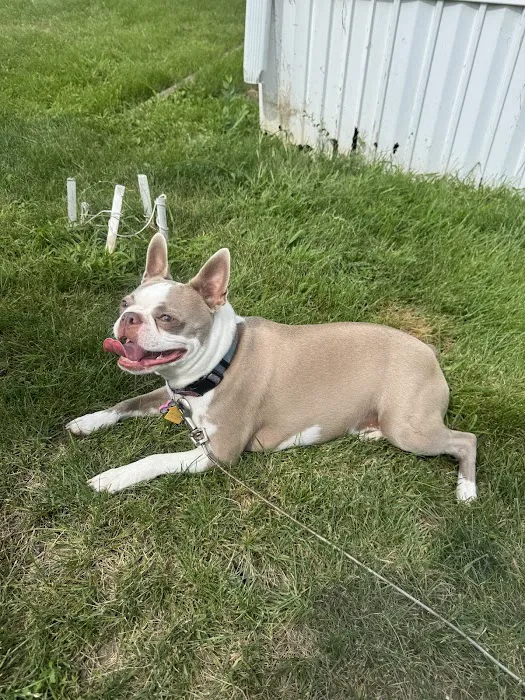 Animal Health Center of Knoxville Picture 1