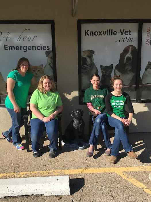 Animal Health Center of Knoxville Picture 9