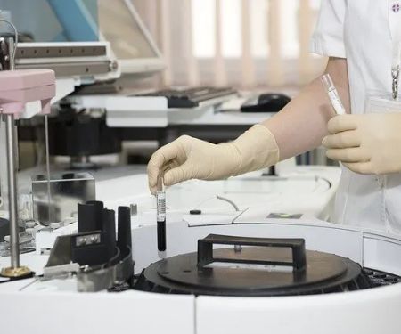 Knoxville Veterinary Knoxville Il