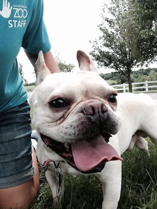 Animal Health Center of Oskaloosa Picture 2