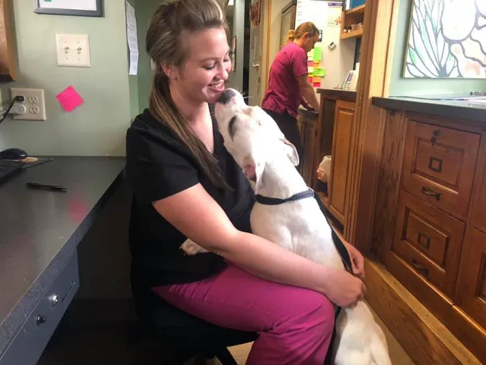 Oskaloosa Small Animal Veterinary Clinic Picture 1