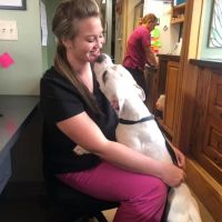 Oskaloosa Small Animal Veterinary Clinic ico