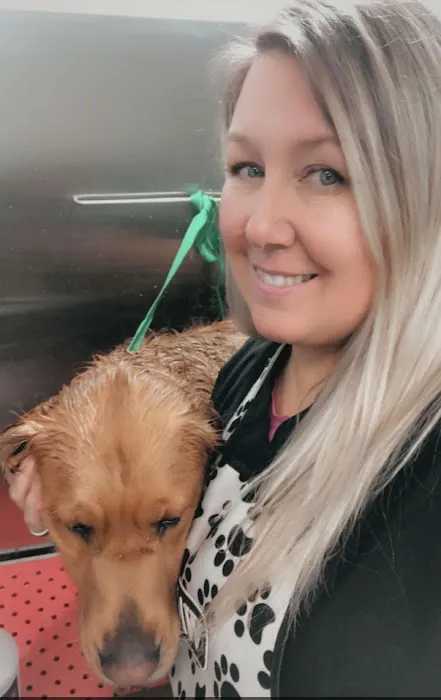 Oskaloosa Small Animal Veterinary Clinic Picture 4