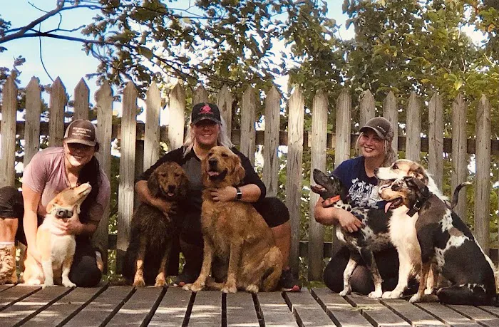 Oskaloosa Small Animal Veterinary Clinic Picture 9