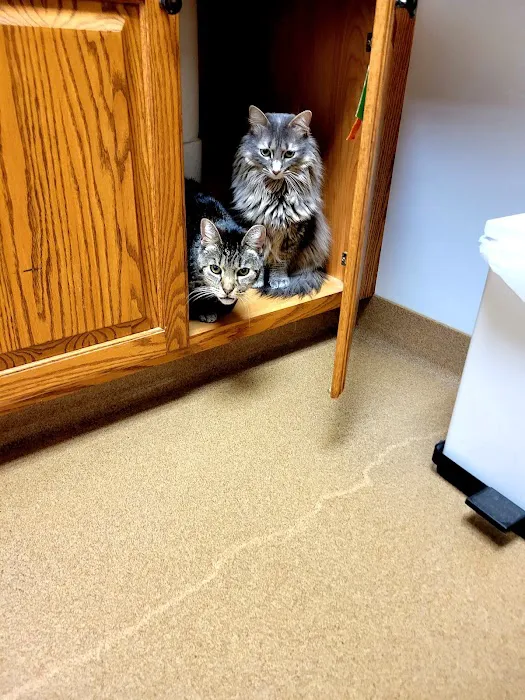 Oskaloosa Small Animal Veterinary Clinic Picture 6