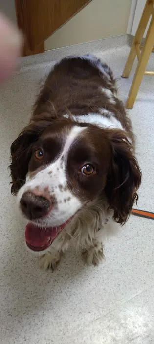 Mahaska Veterinary Clinic Picture 3