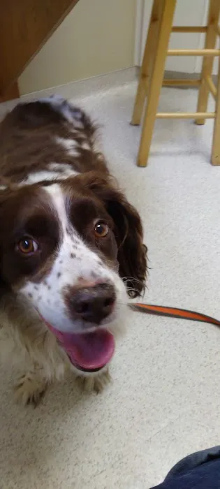 Mahaska Veterinary Clinic Picture 4