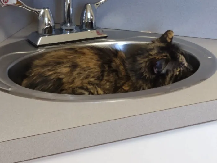 Mahaska Veterinary Clinic Picture 2