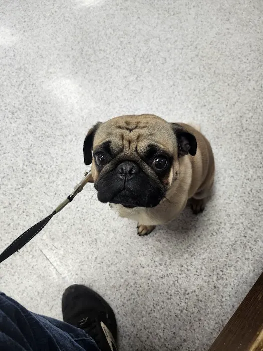 Mahaska Veterinary Clinic Picture 5