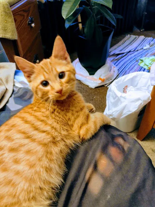 Mahaska Veterinary Clinic Picture 6