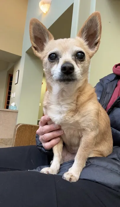 Highland Park Animal Hospital Picture 1