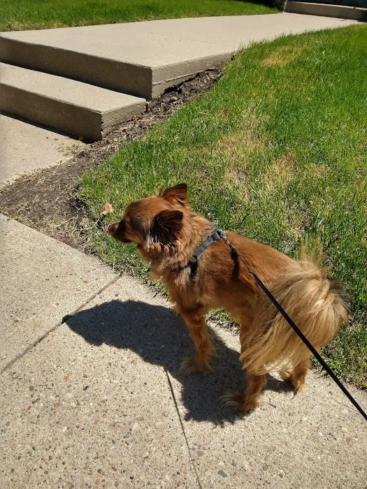 Highland Park Animal Hospital Picture 5