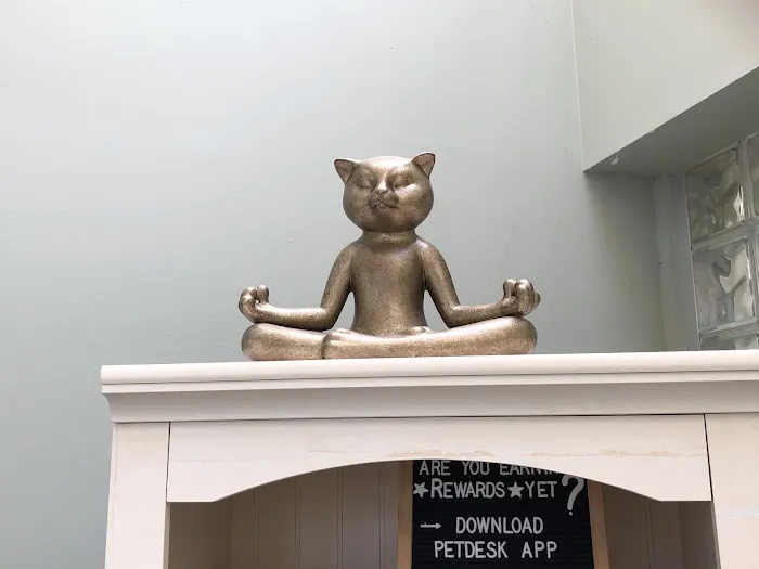 Highland Park Animal Hospital Picture 4