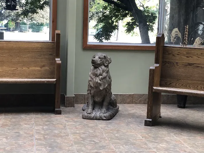 Highland Park Animal Hospital Picture 6