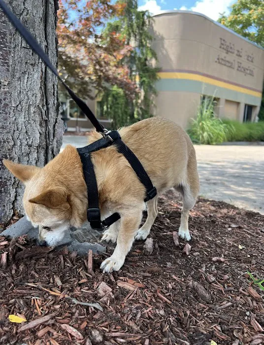 Highland Park Animal Hospital Picture 2
