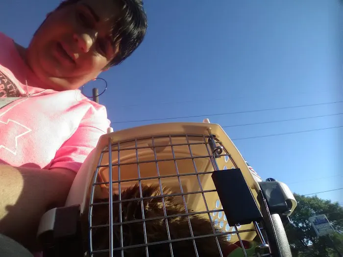 All-Pets Hospital: Berge Kathy DVM Picture 1