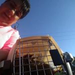 All-Pets Hospital: Berge Kathy DVM