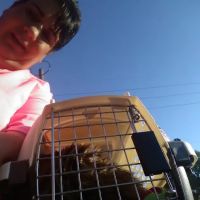 All-Pets Hospital: Berge Kathy DVM ico