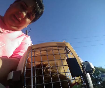 All-Pets Hospital: Berge Kathy DVM