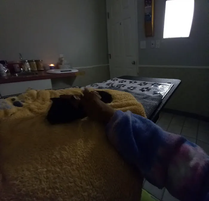 All-Pets Hospital: Berge Kathy DVM Picture 4