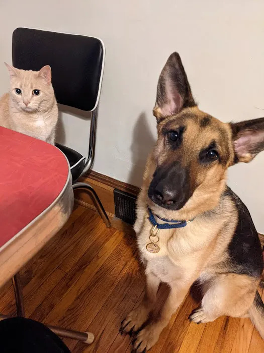 All-Pets Hospital Picture 3