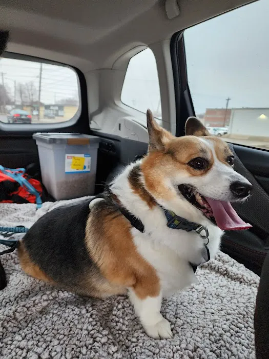 All-Pets Hospital Picture 4