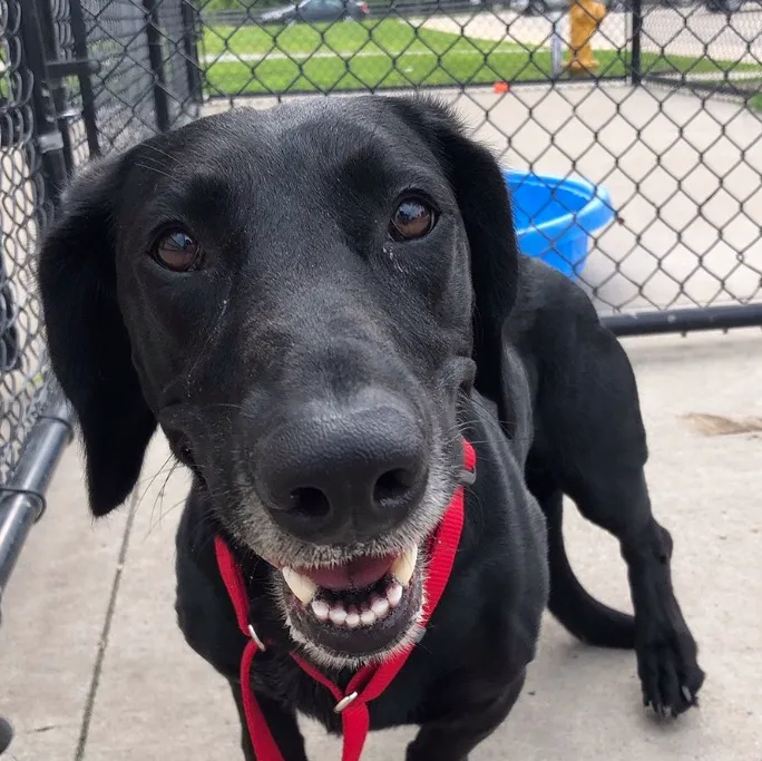 All-Pets Hospital Picture 2